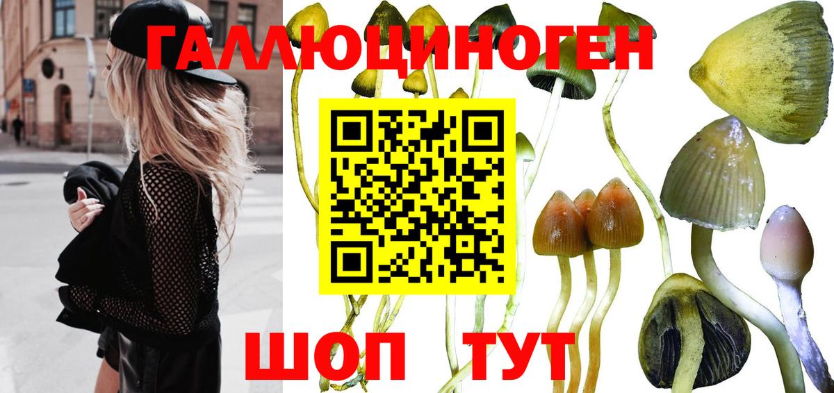 Обь  Галлюциногенные грибы Psilocybe  Псилоцибиновые грибы MAGIC MUSHROOMS  наркотики  Вход с VPN 