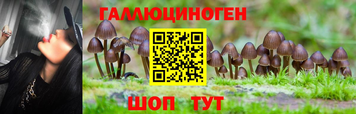 Галлюциногенные грибы прущие грибы Обь